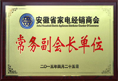 安微省家电经销商会常务副会长单位